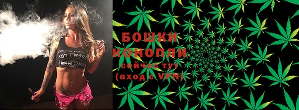 ПСИЛОЦИБИНОВЫЕ ГРИБЫ Нязепетровск