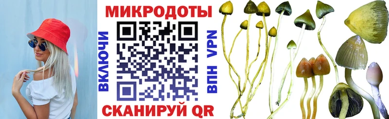 Псилоцибиновые грибы мухоморы как найти Пудож